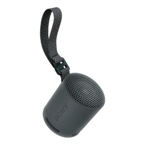 Sony SRS-XB100 Højttaler Sort